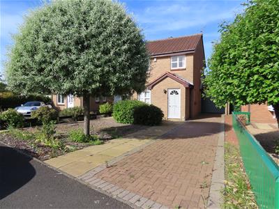 Picture 20